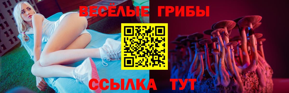 Галлюциногенные грибы ЛСД  Галлюциногенные грибы прущие грибы  Вход с VPN  Малгобек 
